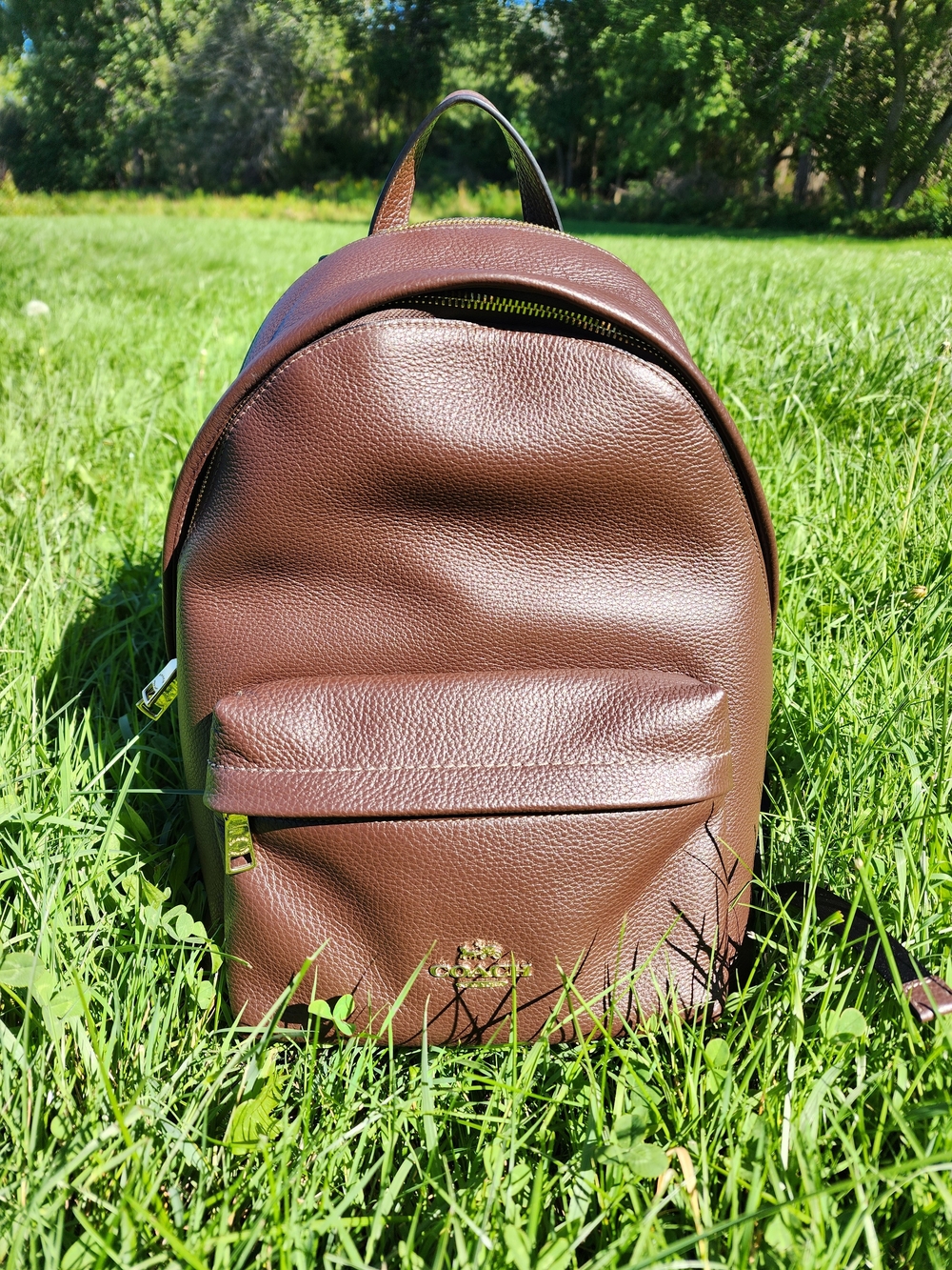 Coach Taylor Small Leather Backpack - Maple